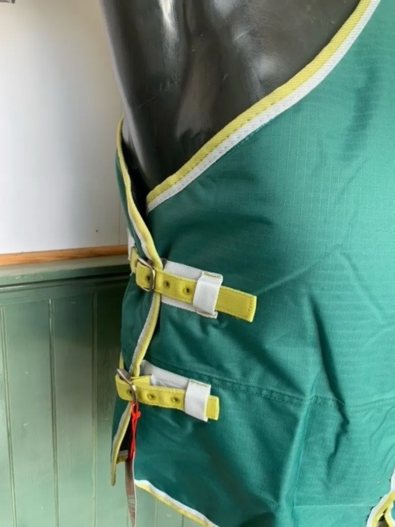 Bridleway Ontario 100g Turnout Rug in Green -2